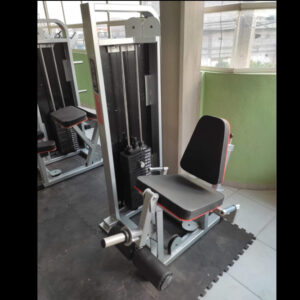 Leg Extension maquina gym