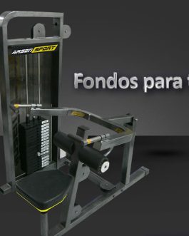 Fondos para triceps peso integrado