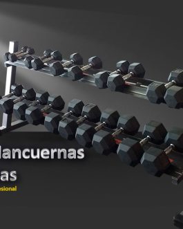 Rack con 10 Prs. de Mancuernas ahuladas de 10 a 50 Lbs.