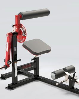 Abdomen y Lumbar peso libre