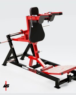 Sentadilla perfecta Invertida